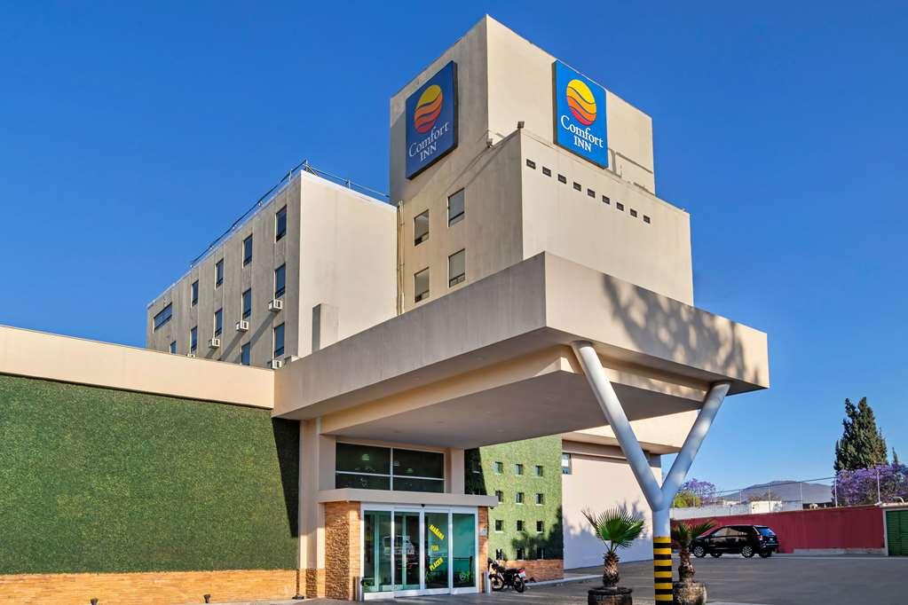 Comfort 4* Querétaro